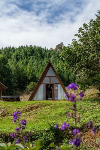 Lodge Refugio El Bosque