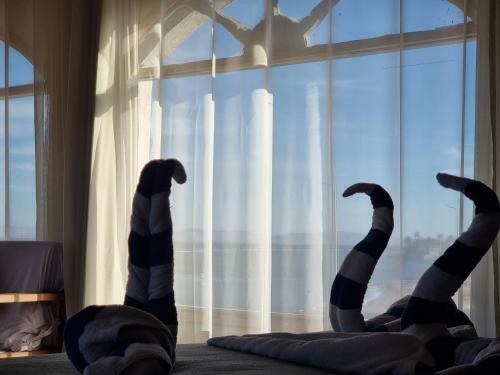 Hotel The Bedouin Moon Studios