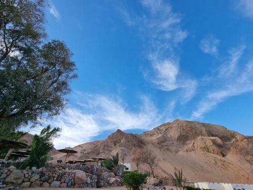 Hotel The Bedouin Moon Studios
