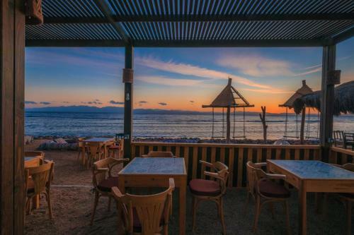 Hotel The Bedouin Moon Studios