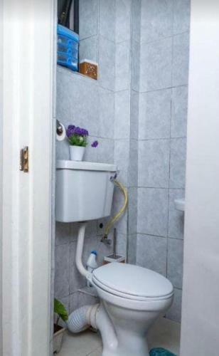 Apartamento Coral Bells By Tsavo