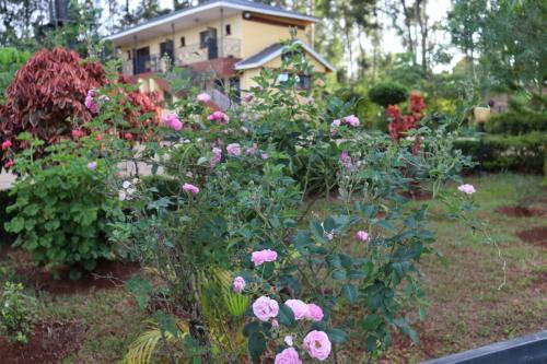 Apartamento Alpha Homes