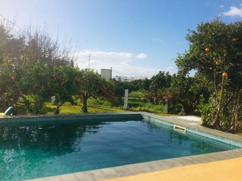 Dar Sa�da 2-bedroom Villa With Swimming Pool