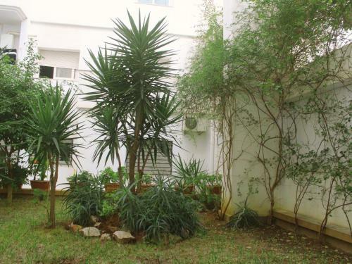 Apartamento S+2 Manzah 7 Bis
