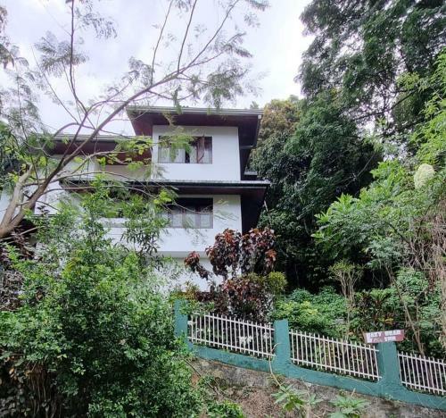 Albergue Lazy Bear Inn Kandy