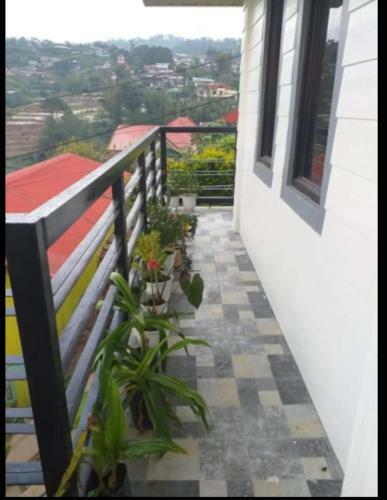 Alice's Homestay