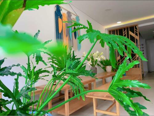 Dawn Apartment
