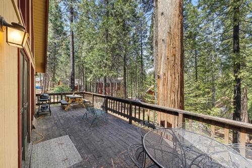 Tranquility In The Woods