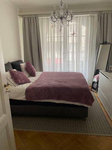 Privat Apartament Euex-vives