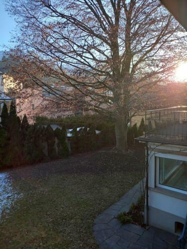 Apartamento J87 Villa Garden