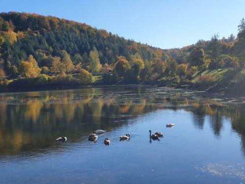 Chalet Bude 92