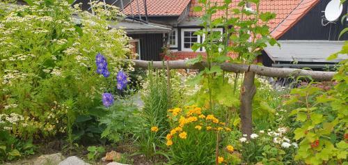 Apartamento Ferienwohnung Zur Ellernm�hle