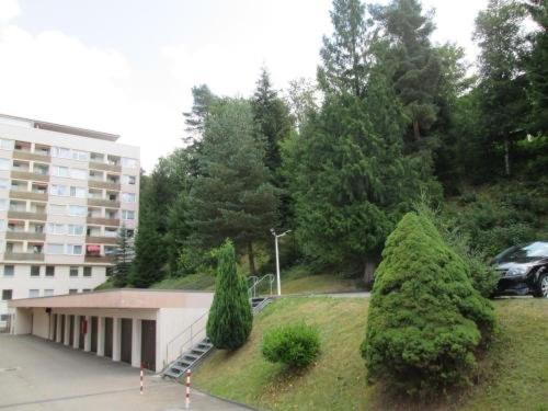 Schwarzwald Klein Apartment 125