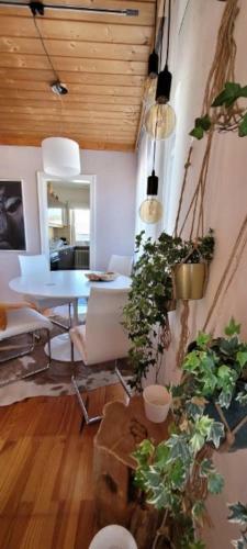 Apartamento Ferienwohnung Ingrid