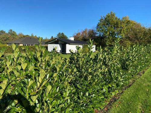 Cozy, Charming Home In Hornb�k