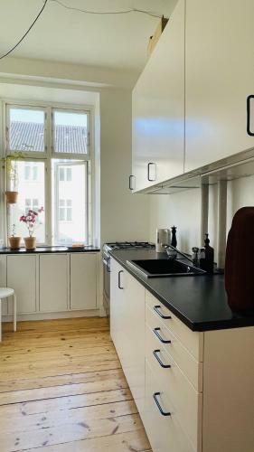 Apartmentincopenhagen Apartment 1485