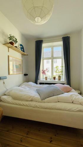 Apartmentincopenhagen Apartment 1485