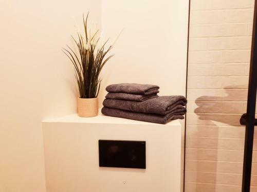 Supeluse 7-1 Guest Apartment By Annalie Apartments