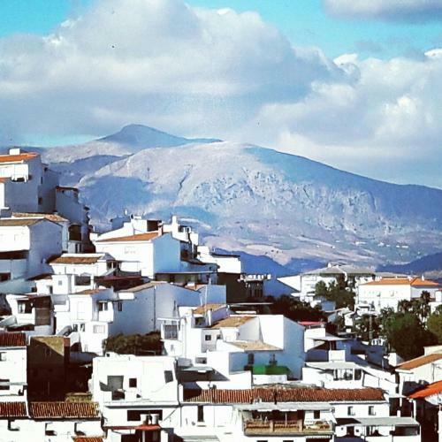 Alora Old Town 2 Bedroom House