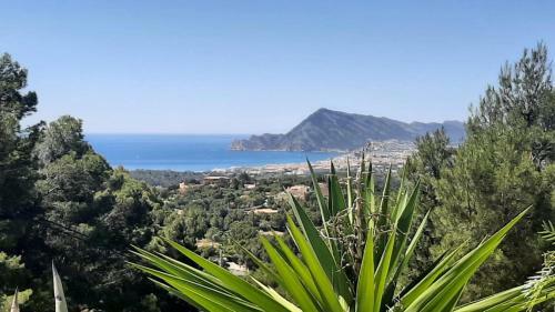 Apartamento Altea Nova