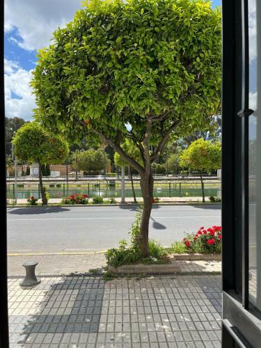 Apartamento Casa Ribera Centro