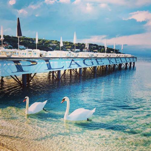 Apartamento Paradise Au Cap D'antibes