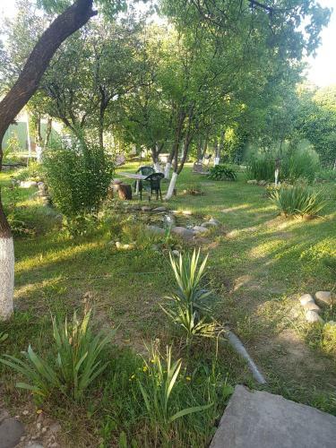 Albergue Hotel Villa Davidl