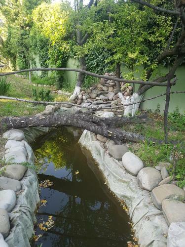 Albergue Hotel Villa Davidl