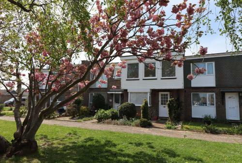 Cherry Trees