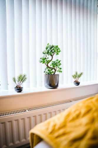 Apartamento Aunt Mary's