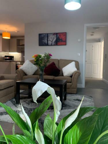 Luxury Modern Belfast City Centre 2 Bed Apartment
