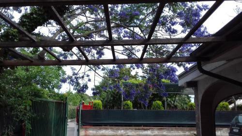 Case E Giardini