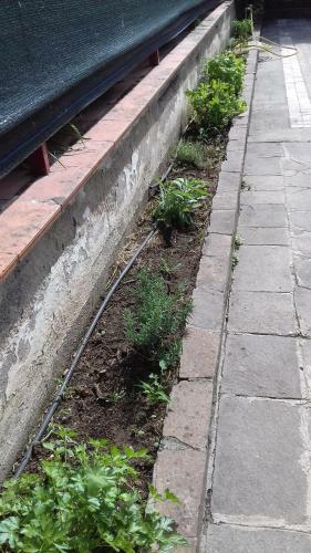 Case E Giardini