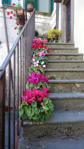 Apartamento Bomarzo Bed & Better