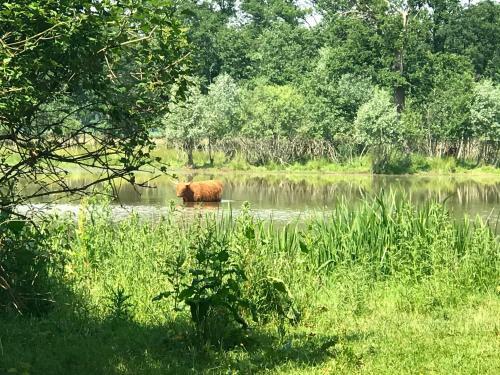 In De Tuin In Gees