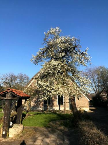 In De Tuin In Gees