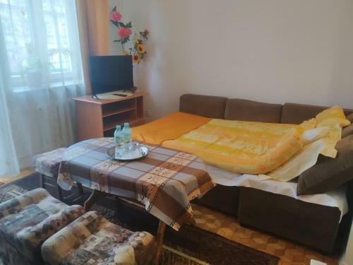 Apartament W Centrum Che?ma