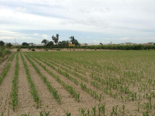 Casa Rural Lo Soto