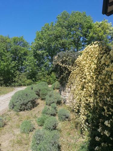 Apartmaji Villa Cedole