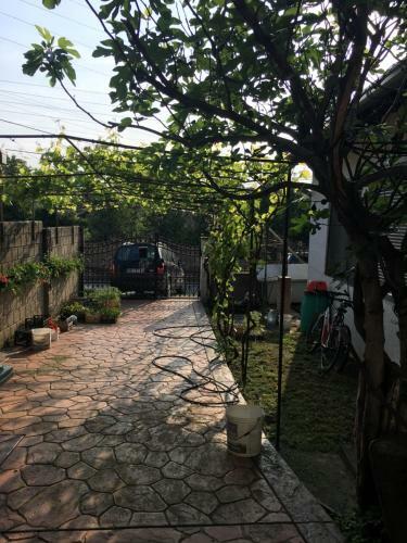 Apartman Flora