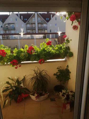 Apartman Anja
