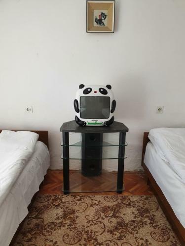 Hostal Nesovic