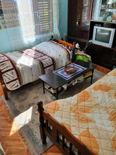 Hostal Nesovic