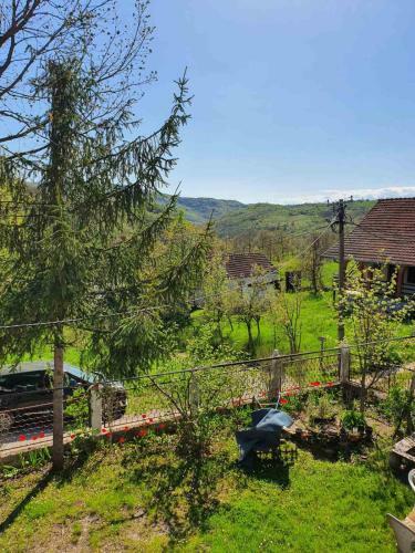 Hostal Nesovic
