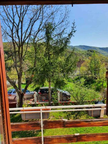 Hostal Nesovic