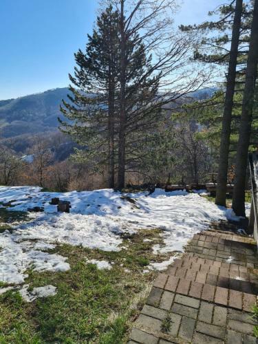 Zlatibor Vila Apartman