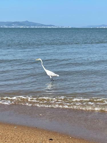 Casa P� Na Areia Sc De Frente Para O Mar