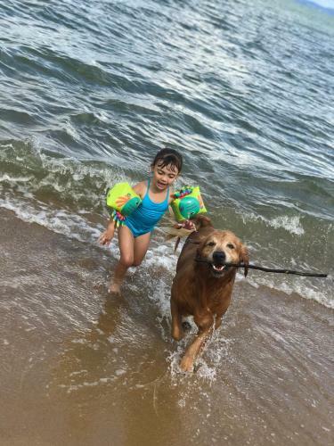 Casa P� Na Areia Sc De Frente Para O Mar