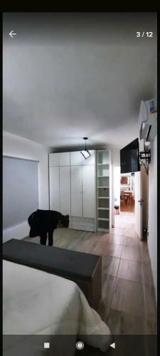 Apartamento C�ntrico, Moderno Y Tranquilo