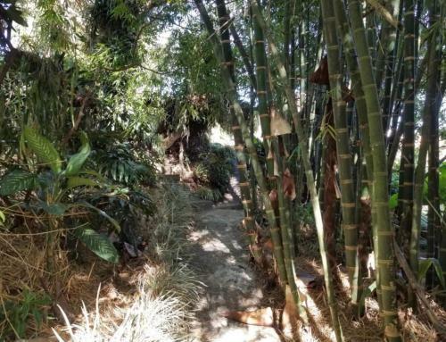 Lodge Finca En Copacabana
